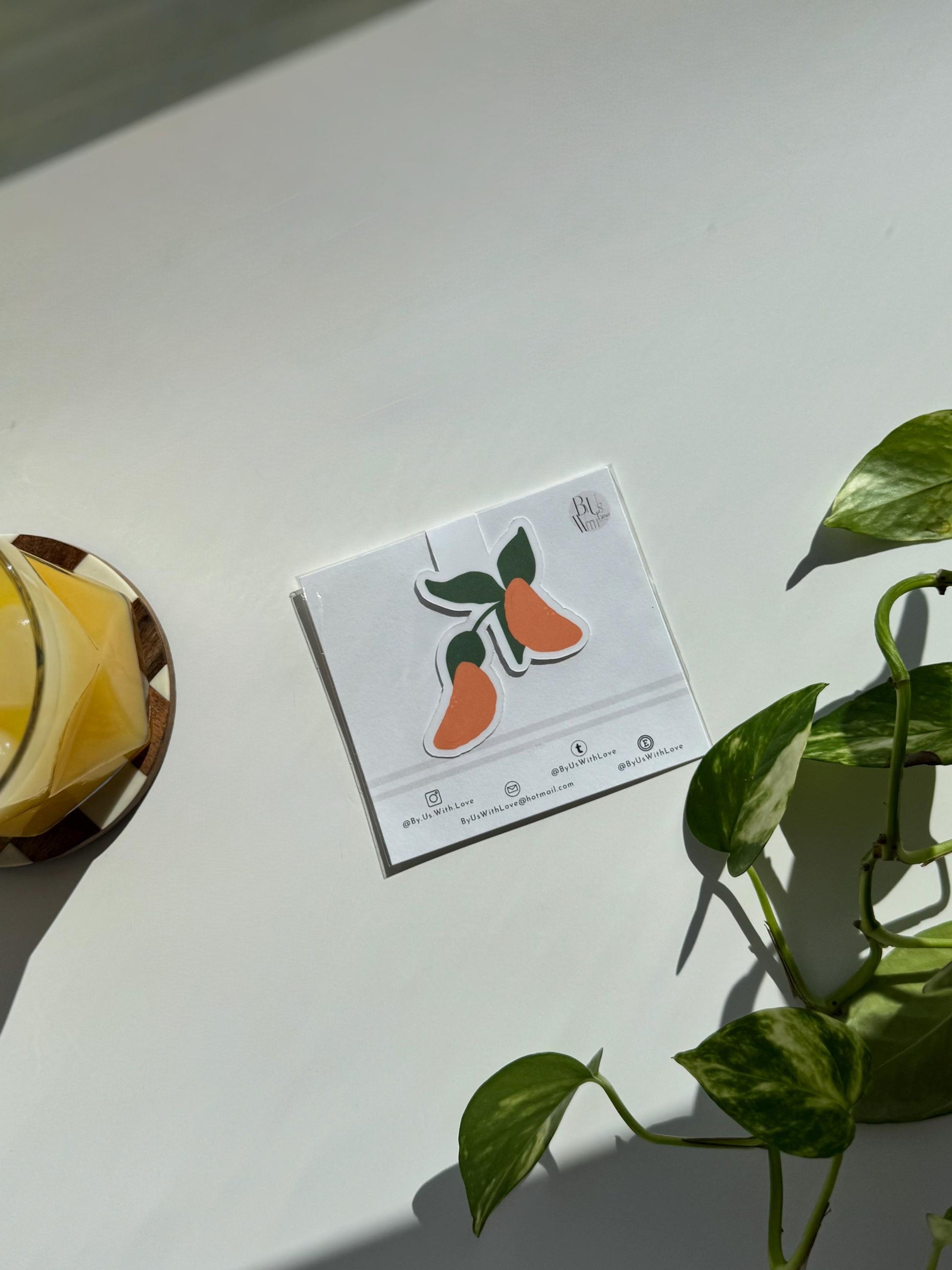 Mandarin Magnetic Bookmark with Leaves – Brighten Your Reading with Citrus Love