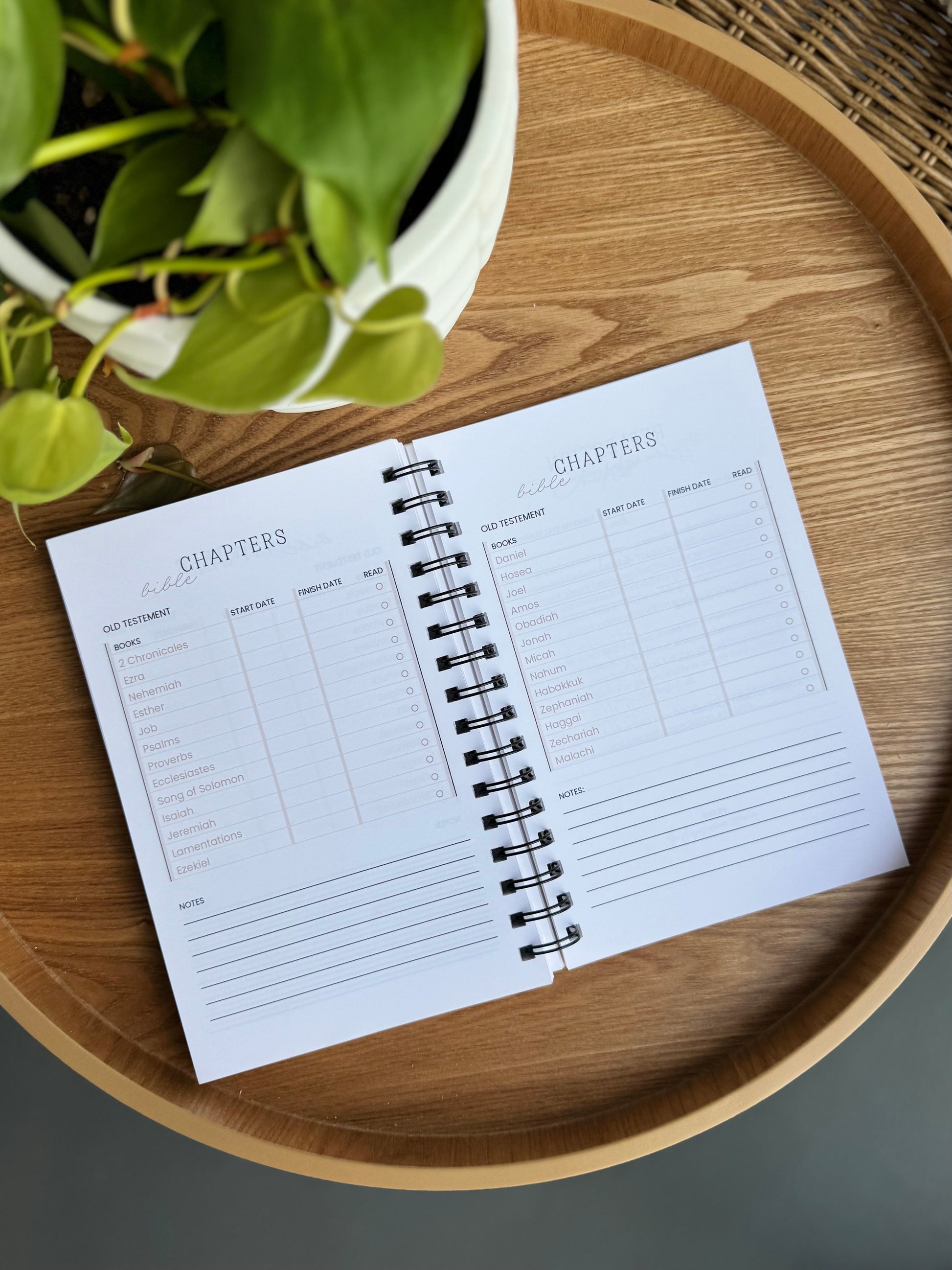 My Faith Journey Journal — 52 Weeks of Purpose - Striped