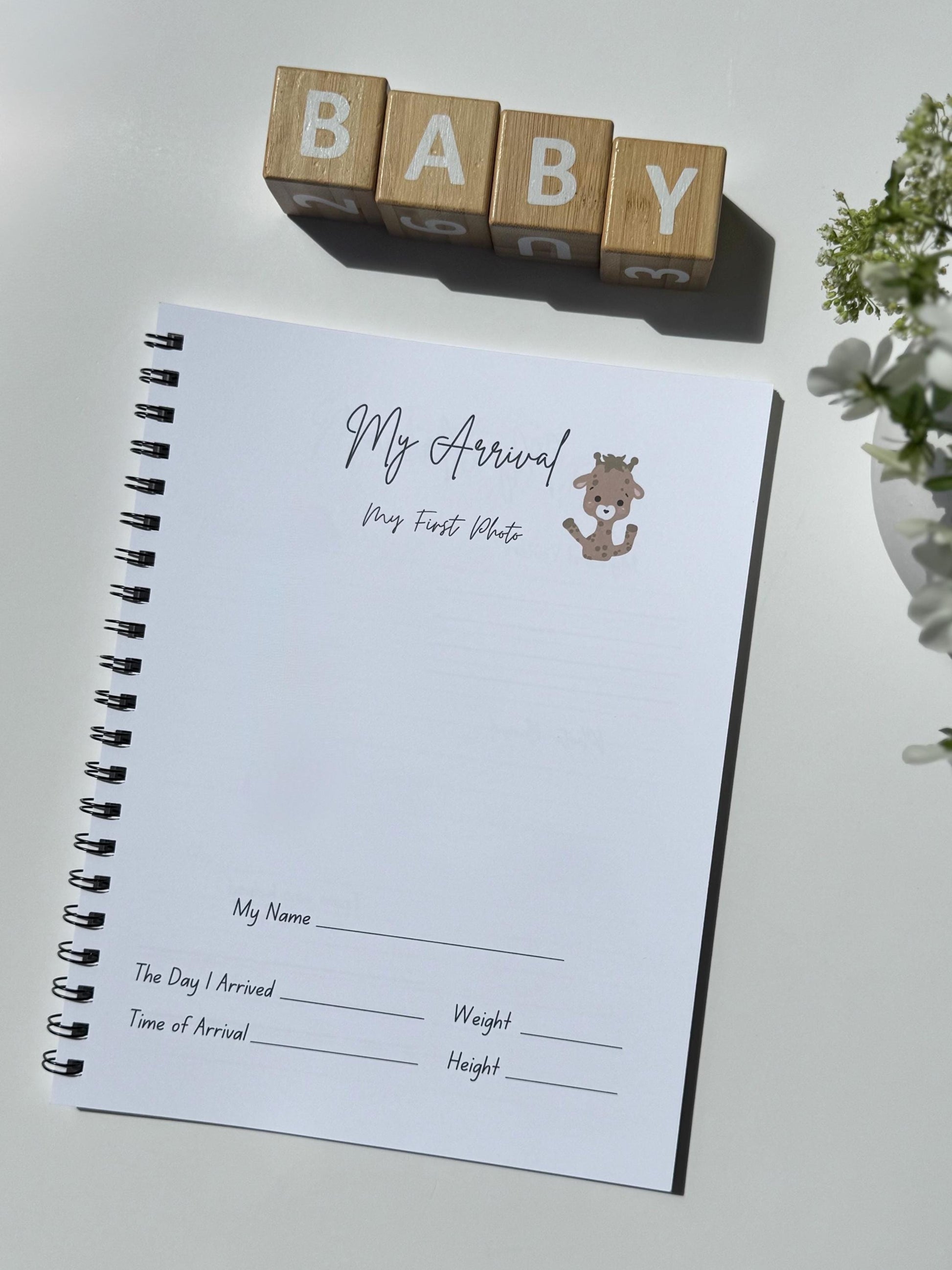 Giraffe Rainbow - Pregnancy Journal