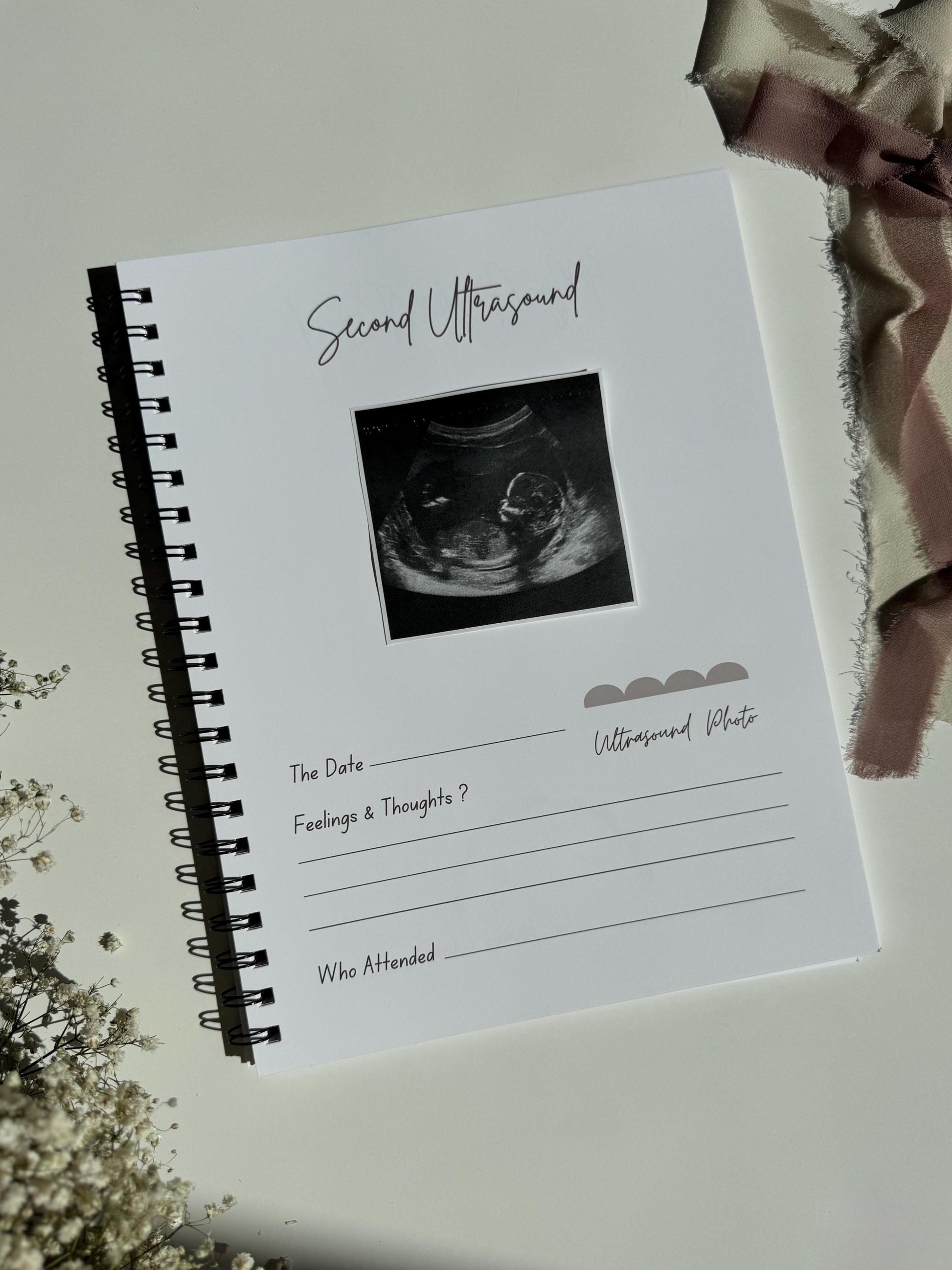 Scallop - Pregnancy Journal