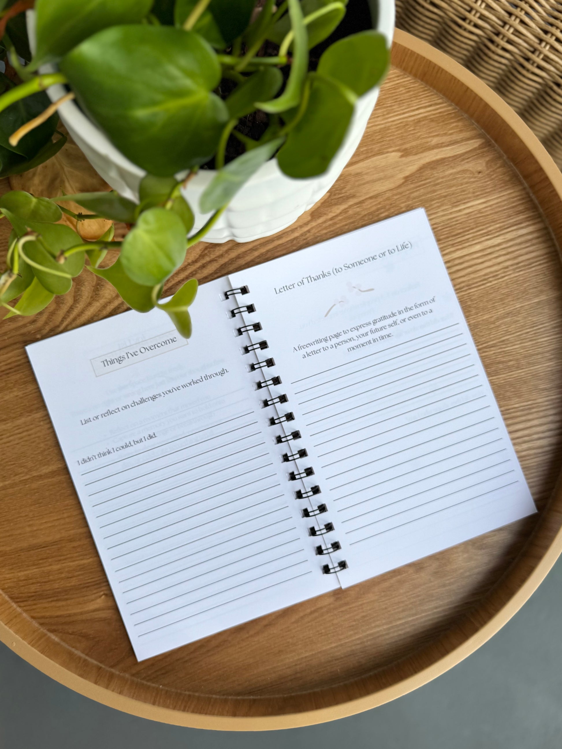 Gratitude Starts Here — A Daily Journal to Cultivate Joy