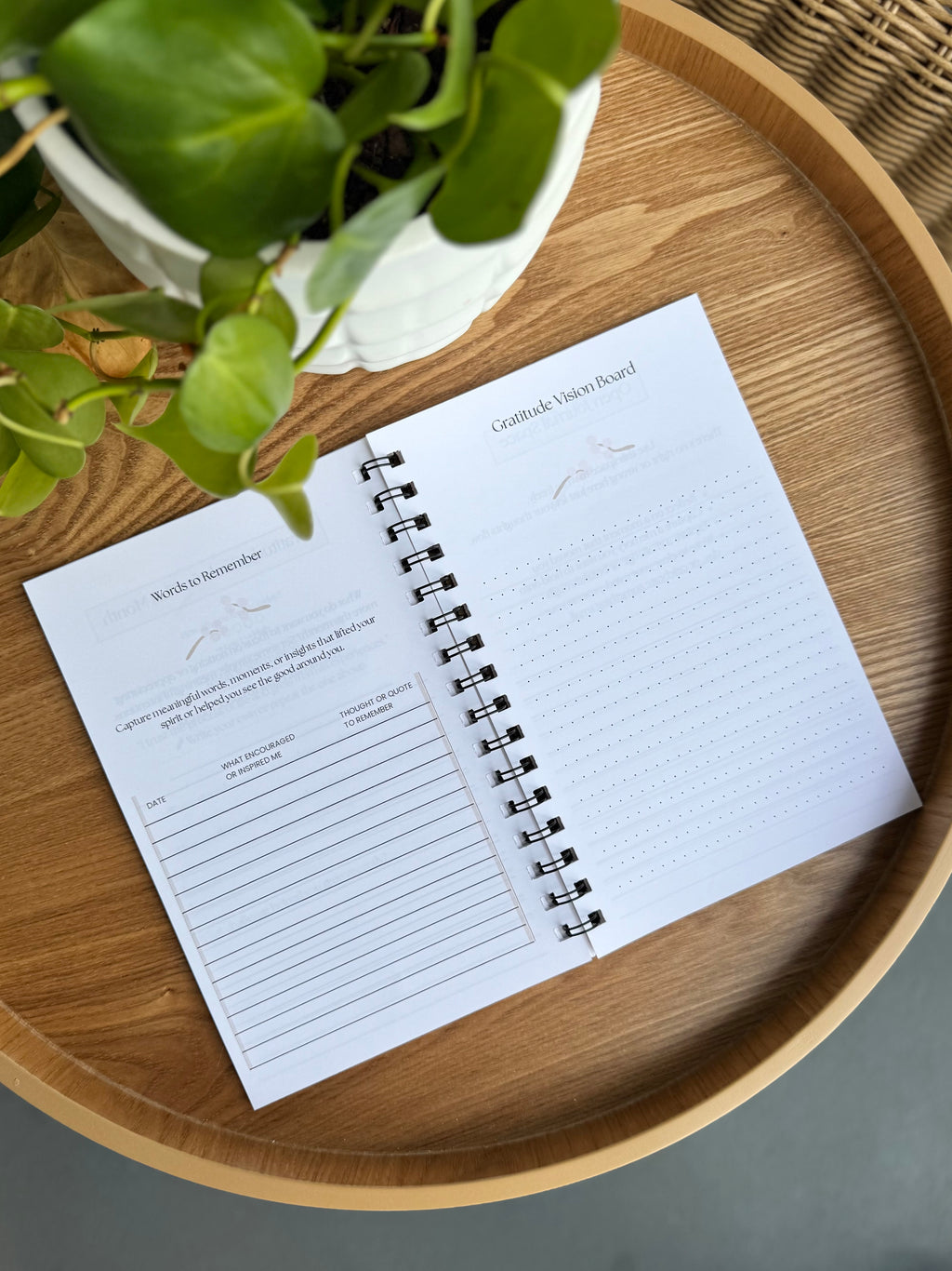 Gratitude Starts Here — A Daily Journal to Cultivate Joy